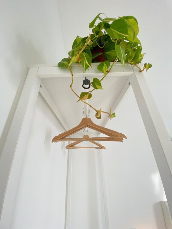 B&B La Locanda Chic Grosseto Esterno foto